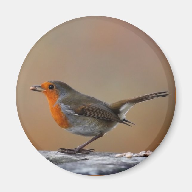 Fütternd Robin Magnet (Vorne)