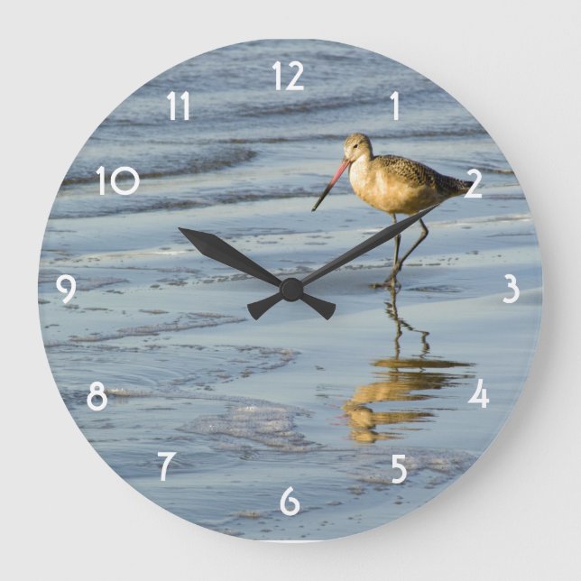 Fütternd Sandpiper Große Wanduhr (Vorderseite)