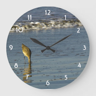 Fütternd Sandpiper II Große Wanduhr