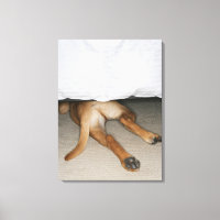 Fütterung und Schwanz von gelbe Labrador Hund vers