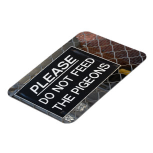 Füttre bitte nicht die Tauben New York City NYC Magnet