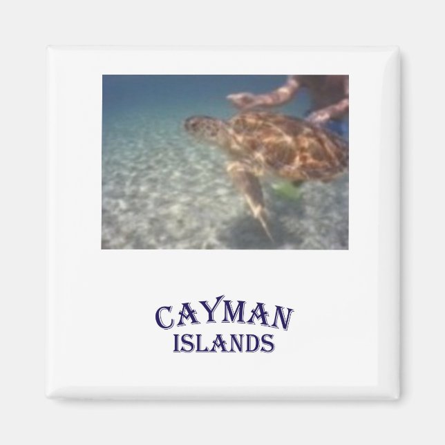 Füttre einer Schildkröte Magnet (Vorne)