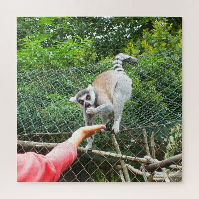 Füttre eines Lemur (Vertikal)