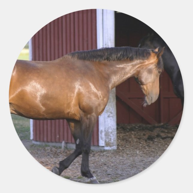 Füttre Runder Aufkleber (Vorderseite)