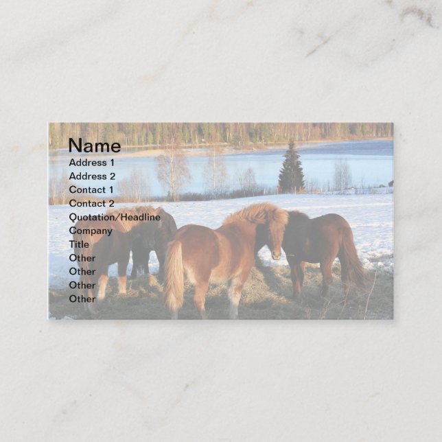 Füttre Visitenkarte (Vorderseite)