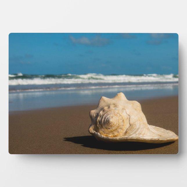 Future Beach Fotoplatte (Vorderseite)