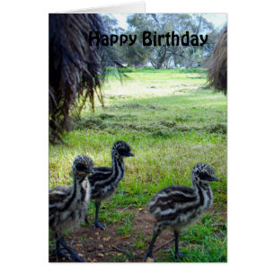 Fuzzy Baby Emu Chicks, carte d'anniversaire
