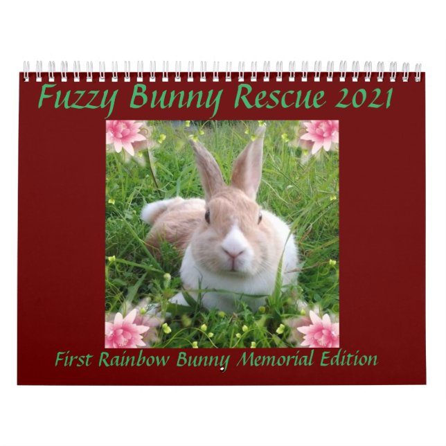 Fuzzy Bunny Rescue 2021 Kalender (Titelbild)