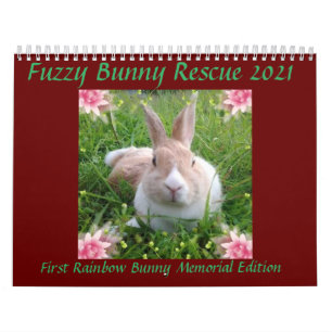 Fuzzy Bunny Rescue 2021 Kalender