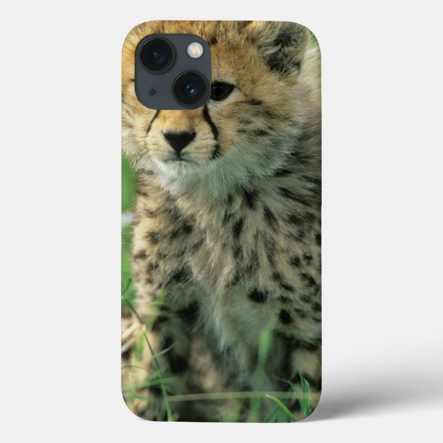 Fuzzy Cheetah Cub Case-Mate iPhone Hülle (Rückseite)