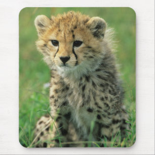 Fuzzy Cheetah Cub Mousepad
