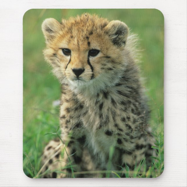 Fuzzy Cheetah Cub Mousepad (Vorne)