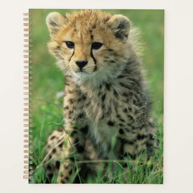 Fuzzy Cheetah Cub Planer (Vorderseite)