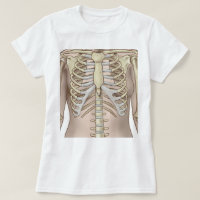 Fuzzy Express® Anatomie des Skeletts von Frauen