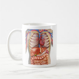 Fuzzy Express® interne Organanatomie Kaffeetasse