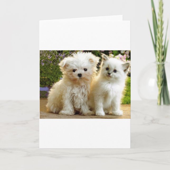 Fuzzy Friends Karte (Vorderseite)