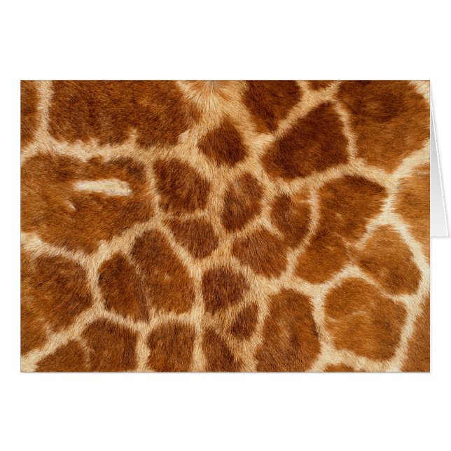 Fuzzy Giraffe Fur Pattern (Vorderseite (Horizontal))