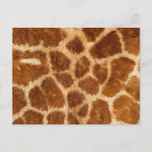 Fuzzy Giraffe Fur Pattern Postkarte