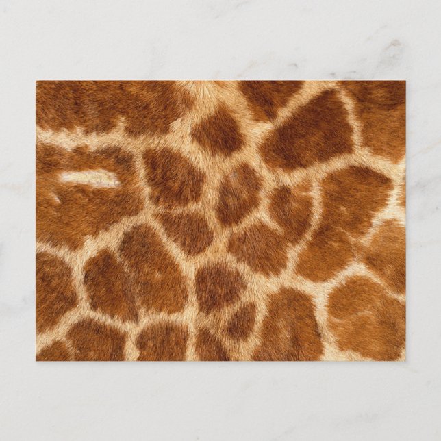 Fuzzy Giraffe Fur Pattern Postkarte (Vorderseite)