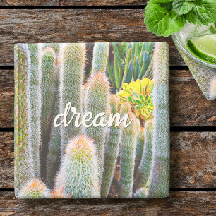 Fuzzy Green Cacti Succulent Foto Dream Script Steinuntersetzer