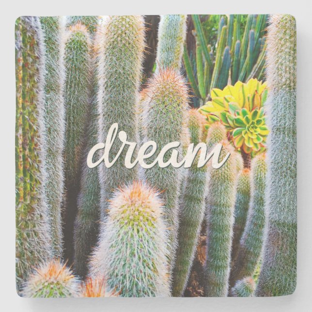 Fuzzy Green Cacti Succulent Foto Dream Script Steinuntersetzer (Vorderseite)