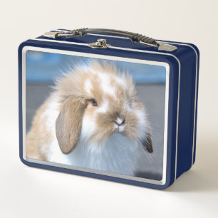 Fuzzy Holland Mini Zwarf Lop Bunny Rabbit Metall Brotdose