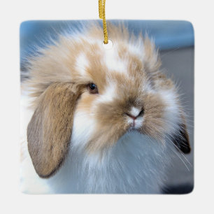 Fuzzy Holland Mini Zwarf Lounge Kaninchen Keramikornament