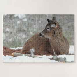 Fuzzy White Tails Hirsch Fawn ruht im Schnee