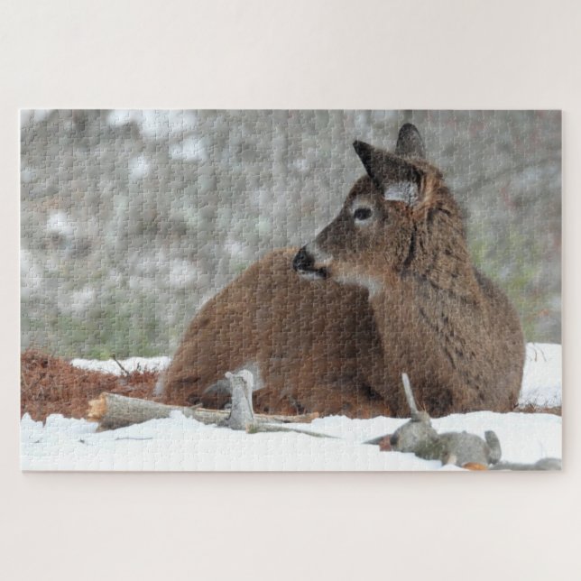Fuzzy White Tails Hirsch Fawn ruht im Schnee (Horizontal)