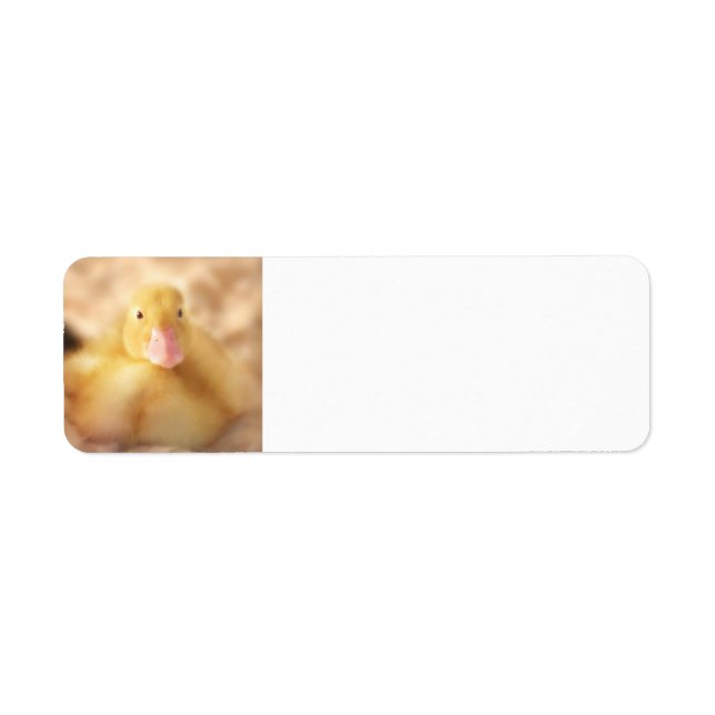 Fuzzy Yellow Duck Easter Baby Duckling (Vorne)