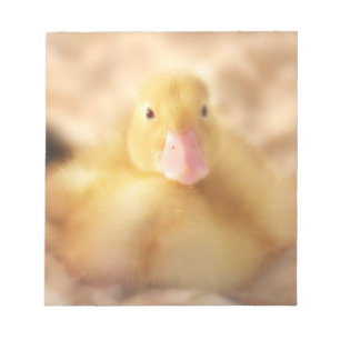 Fuzzy Yellow Duck Easter Baby Duckling Notizblock