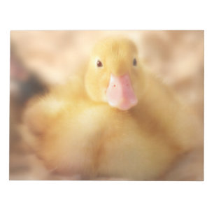 Fuzzy Yellow Duck Easter Baby Duckling Notizblock