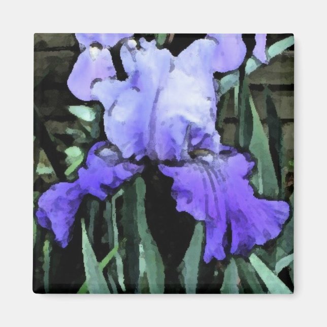 FX - Blue Iris Magnet (Vorne)