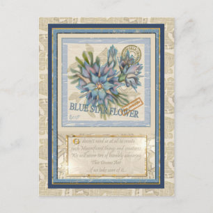 G Creation Büro blaue Blume Postkarte