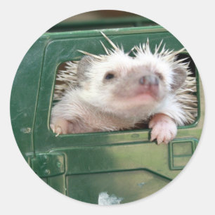 G.I. Igel Runder Aufkleber