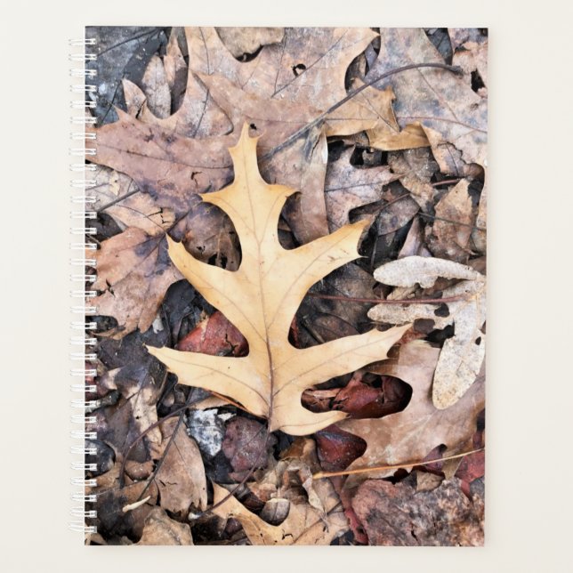 g Planner Oak Leaf Planer (Vorderseite)