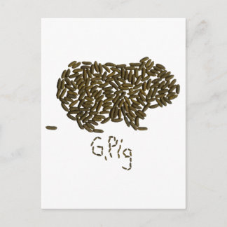 "G. Schweinefleisch" mit klassischer Guinea Postkarte