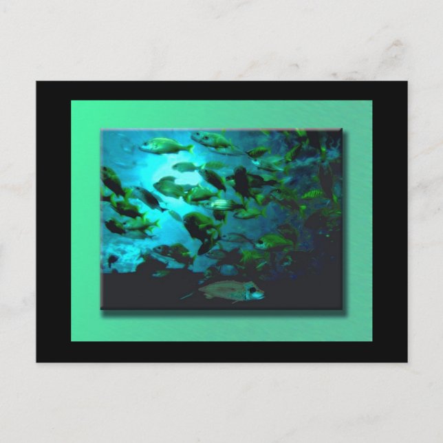 GA Aquarium Postkarte (Vorderseite)