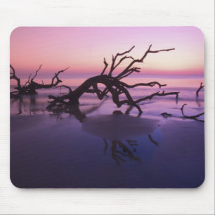 GA Jekyll Island, Baumfriedhof am Strand bei Mousepad