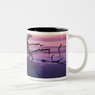GA Jekyll Island, Baumfriedhof am Strand bei Zweifarbige Tasse