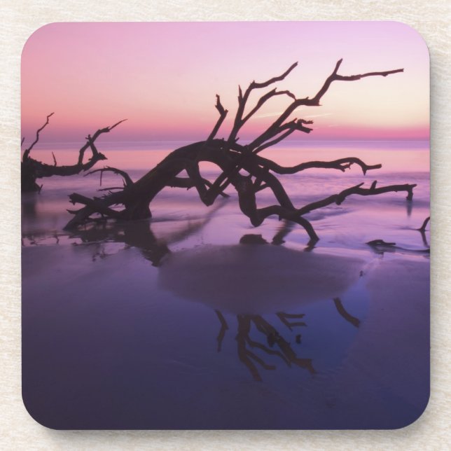 GA Jekyll Island, Tree Friedhof am Strand Getränkeuntersetzer (Vorderseite)