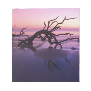 GA Jekyll Island, Tree Friedhof am Strand Notizblock