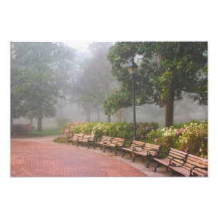 GA Savannah, Azaleas entlang der Backsteinstraße u Fotodruck
