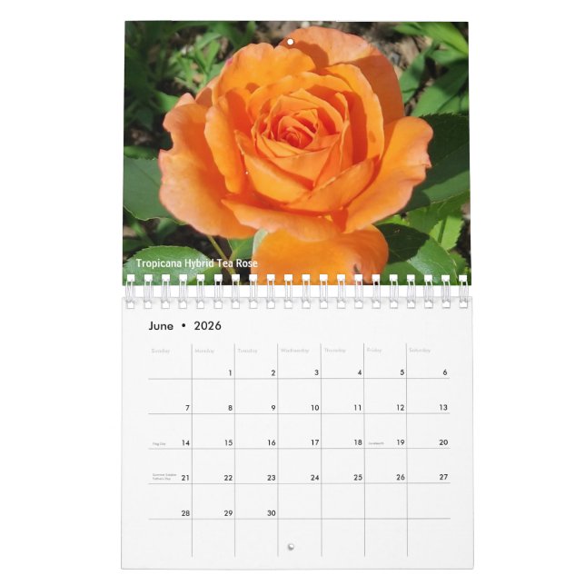 Gabby le calendrier Gardener 2021 (Jun 2026)