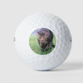 Gabe Golfball