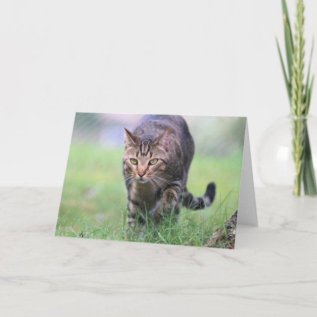 Gabe Karte (Vorderseite)