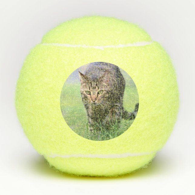 Gabe Tennisbälle (Vorderseite)