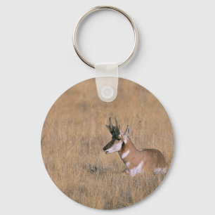 Gabelbock Schlüsselanhänger