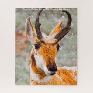 Gabelbockhirsch Wyoming. Weihnachtsgrüße