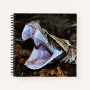 Gabon Viper Notizbuch